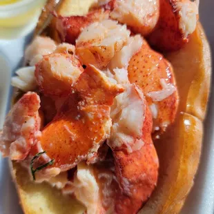 a lobster sandwich
