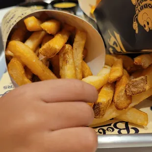 Soggy Fries