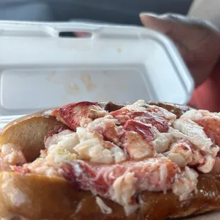 Lobster Roll!
