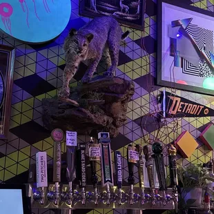 Dead bobcat on the wall over the bar. Gross.