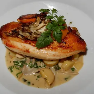 Chicken fricasse