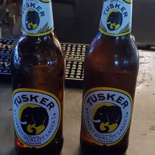 Tusker Lager