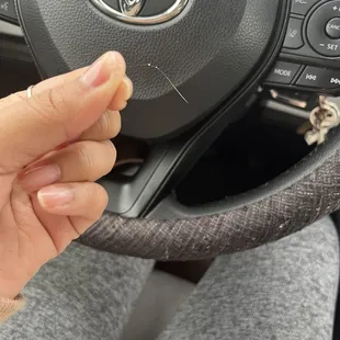 Hair from Hamburger (Small)