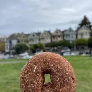 Pumpkin Spice Cake Donut