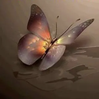 Yolanda J.