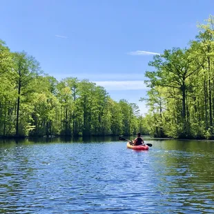 Mother's Day Quarantine 2020