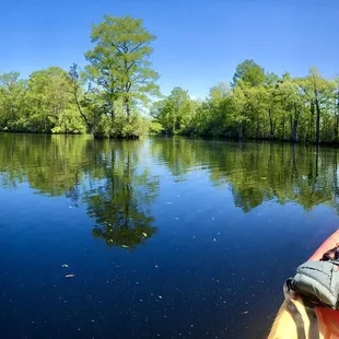 Mother's Day Quarantine 2020