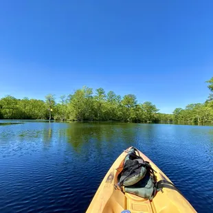 Mother's Day Quarantine 2020