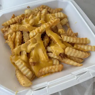 Cheese fries
