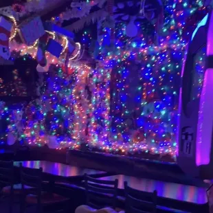 interior, grilled fish