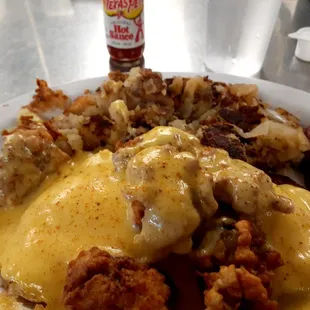 Oysters eggs Benedict.