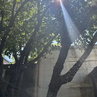 Outside in this perfect weather.