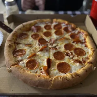 Delicious Regular Pepperoni Pizza
