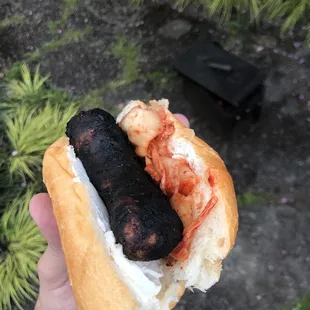 WI style beer brat with kimchi and cream cheese.