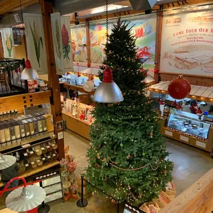 Restaurant counter and first floor grocery.