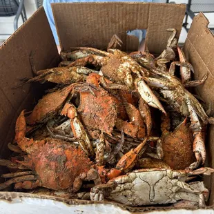 Crabbies on the 4th of July