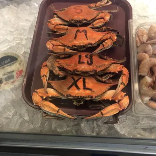 crabs and shrimp