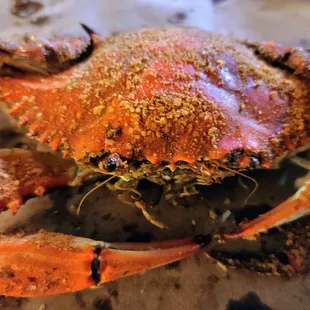 a crab on a table