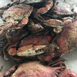 ribs, food, bbq ribs