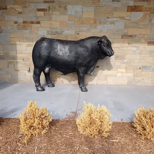 Fun little dude outside