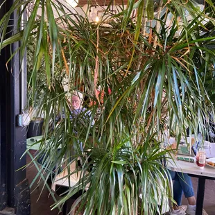 a man sitting at a table in a restaurant