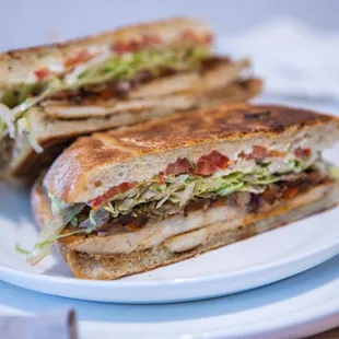 Senior Fajita Sandwich