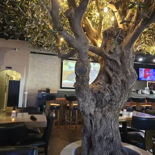 Dining room &amp; sushi bar