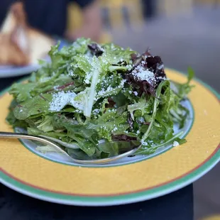 Simple green salad