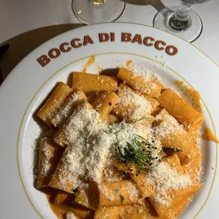 Spicy Rigatoni Alla Vodka