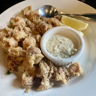 Fried Calamari