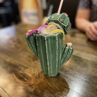 Cactus cooler