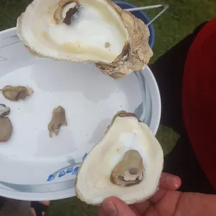 Wtf!?? it was dirty as shit and when open, it was some babyass mussels too. Smfh. Fucken waste of my $92.