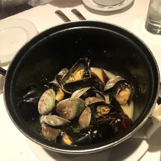 New Zealand Cockles or PEI Mussels