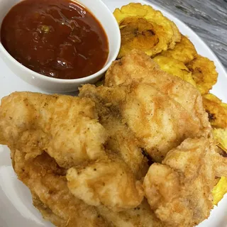 Tilapia