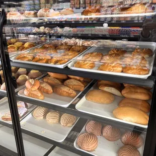Bakery case with all the goodies!
