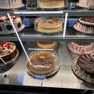 Cake case with all the goodies!