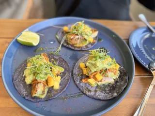 Octopus Baja