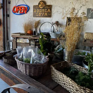 baskets of plants on a table