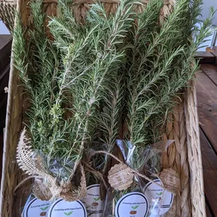 a basket of rosemary plants