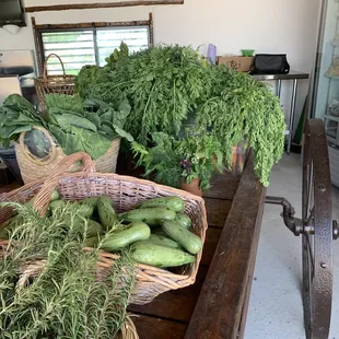 Squash, carrots, turnips, radishes, etc.