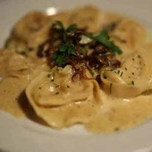 food, pasta, pasta dish