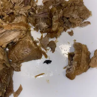 Una MOSCA en las Carnitas!!!