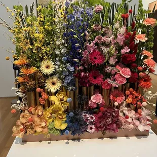 Arts in Bloom @ the NCMA