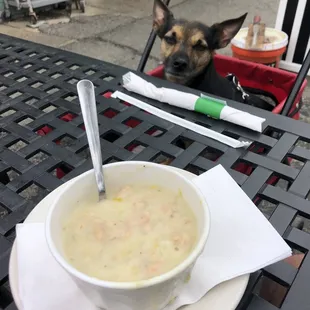Clam Chowder
