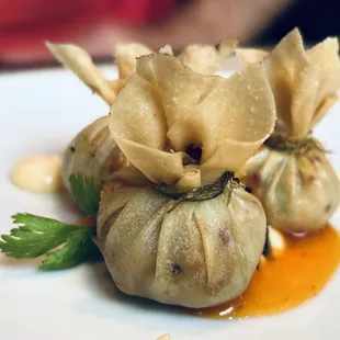 a plate of dumplings