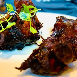 two pieces of meat on a plate