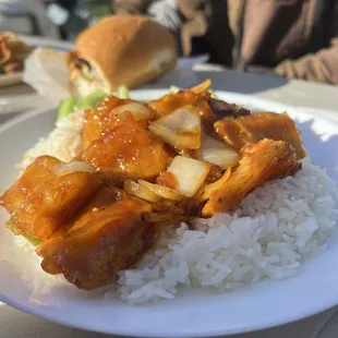 Orange Tofu/seitan with steamed rice
