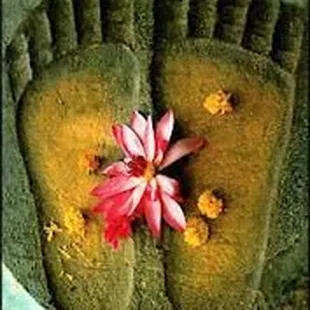 Your Healing Journey Starts Here