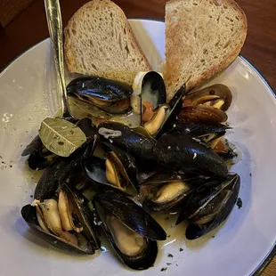 Steamed Mussels