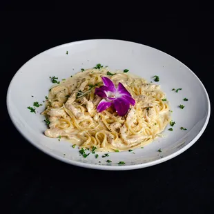 Chicken Alfredo Pasta